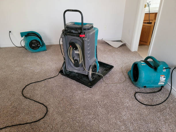 Water damage restoration insurance claims in Petaluma, CA