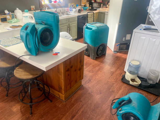 Trusted Petaluma, CA Water damage restoration Experts