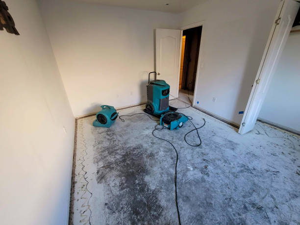 Local water damage restoration in Petaluma, CA