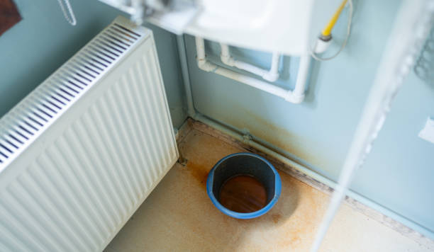 Best Local water damage restoration  in Petaluma, CA