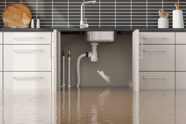 Best 24-hour water damage restoration  in Petaluma, CA